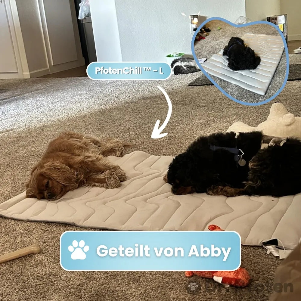 Die innovative Kühlmatte für Hunde